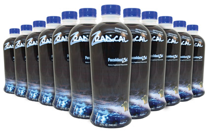 Escape Zradical 12 Bottle Pack (3 Cases)