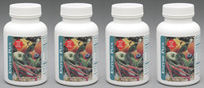 SupraLife Enzyme Plus 4pak - More Details